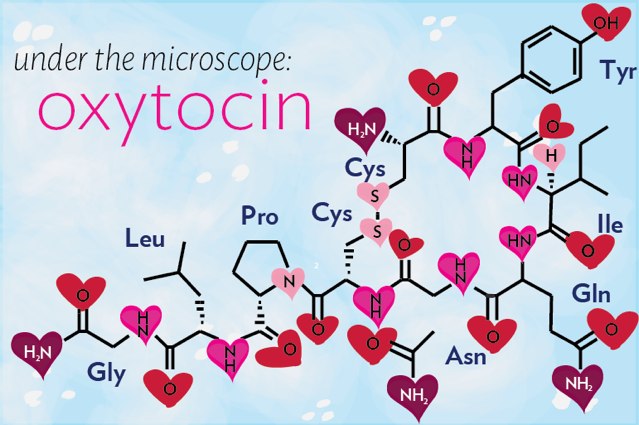 ossitocina-ormone-dell-amore