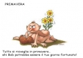 Krazy Kamasutra posizione primavera