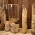 <strong>Gallery Museo del pene in Islanda</strong><br/>