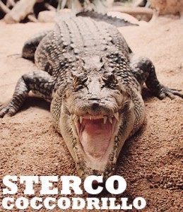 sterco-coccodrillo width=