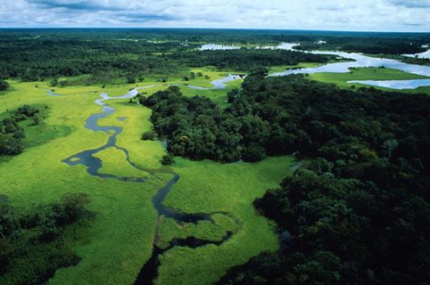 Amazzonia, preservativi ed economia