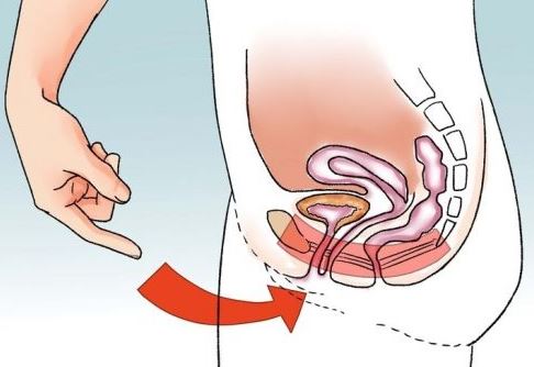 Gli esercizi Kegel: come e perché farli