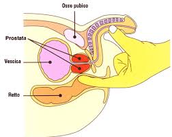 Come trovare e stimolare la prostata (punto L)