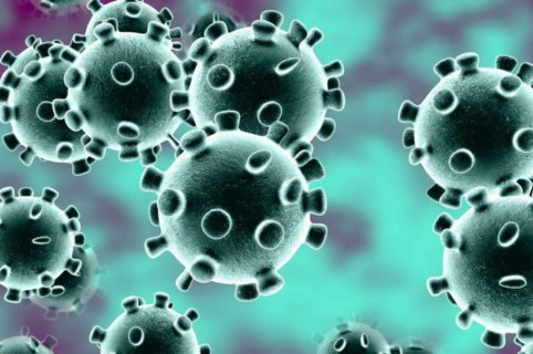 coronavirus 2019