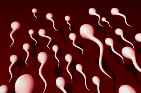 barzelletta sugli spermatozoi
