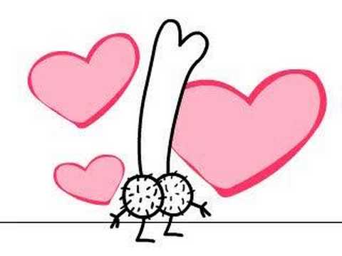 approfondimento sul pene