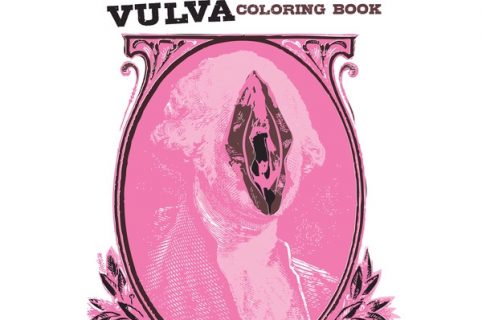 vulva book