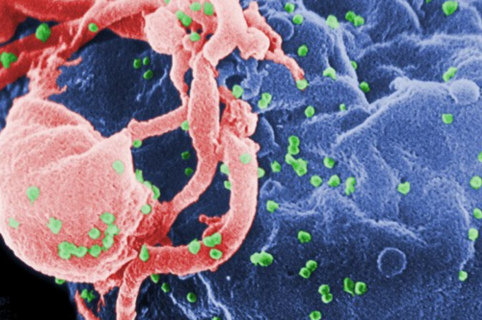 mappatura aids 1966