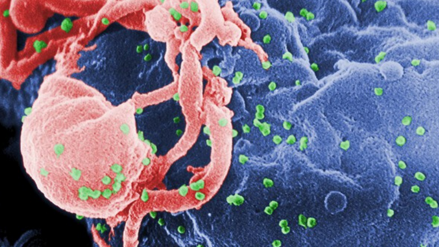 mappatura aids 1966