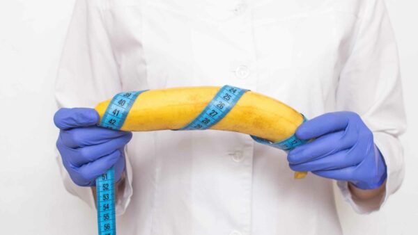 le dimensioni contano