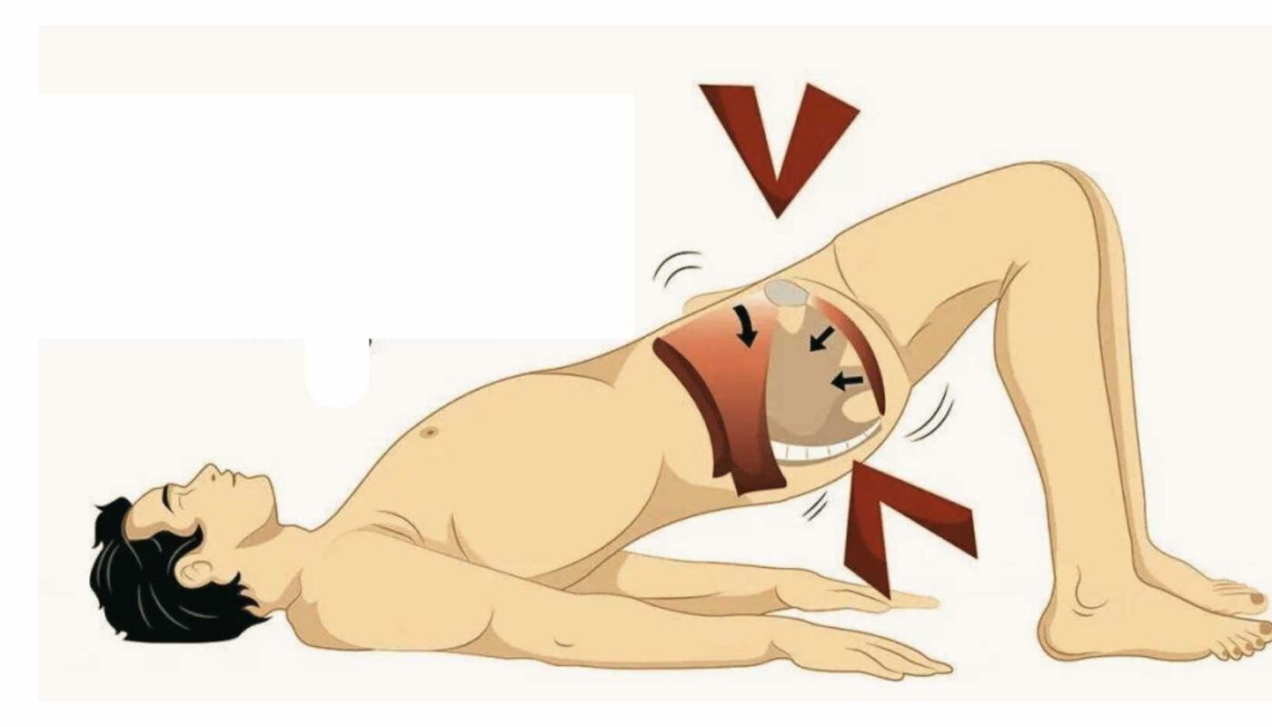 muscoli pelvici uomo