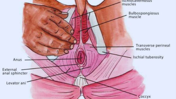 pavimento pelvico maschile