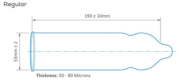 Pasante Regular forma e dimensioni