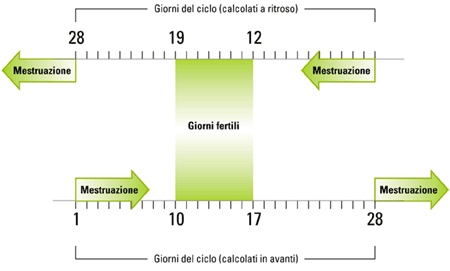 calcolo periodo fertile ciclo di 28 giorni width=